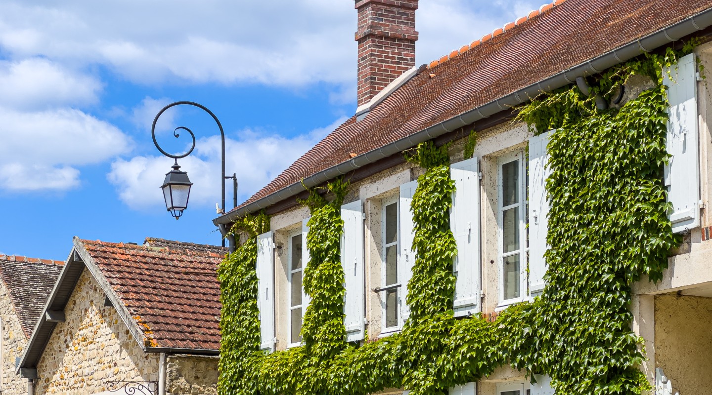 Façade en pierre couverte de lierre, maison ancienne avant vente ou location